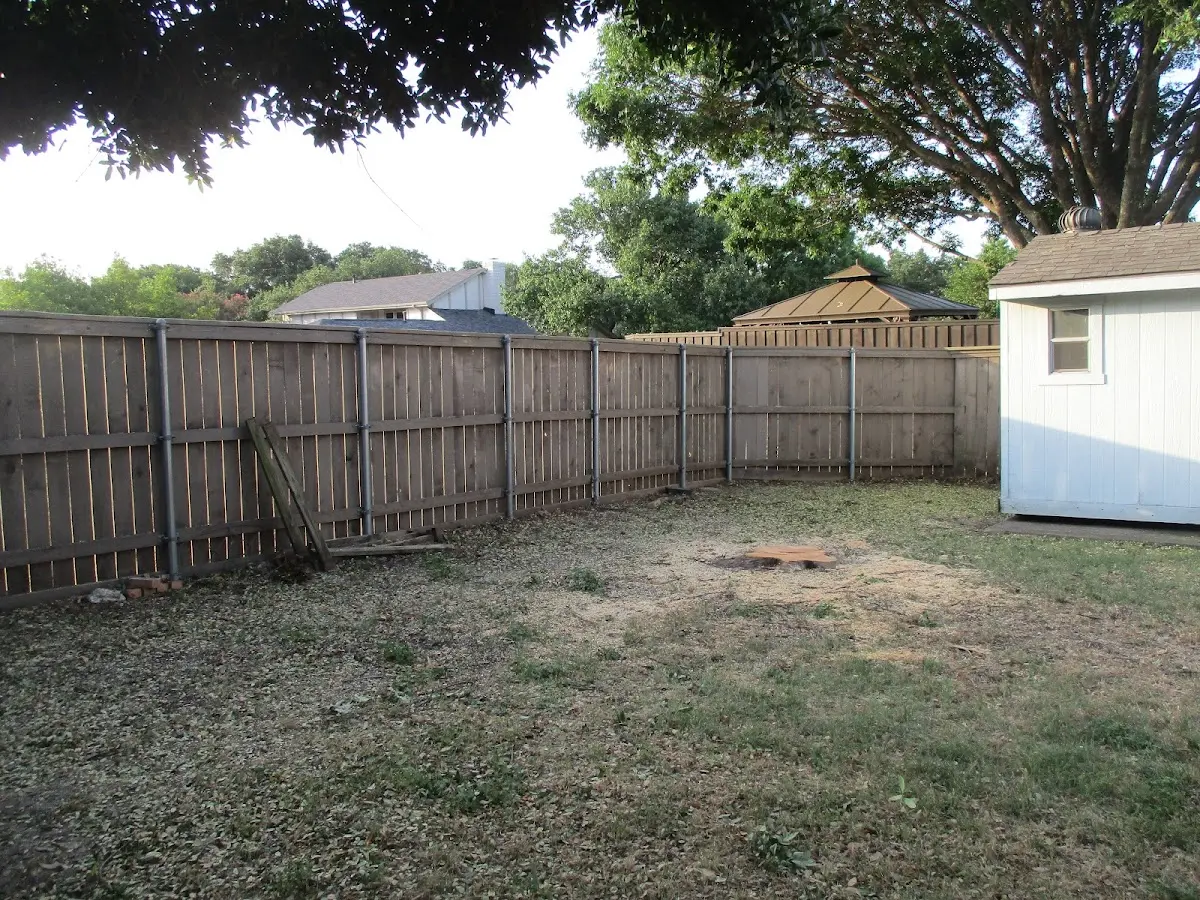 Cleared yard after professional tree removal in Sunman